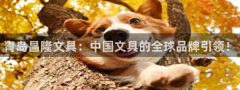 龙八国际客户端下载