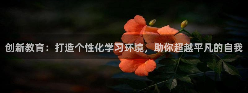 龙八国际官网安卓