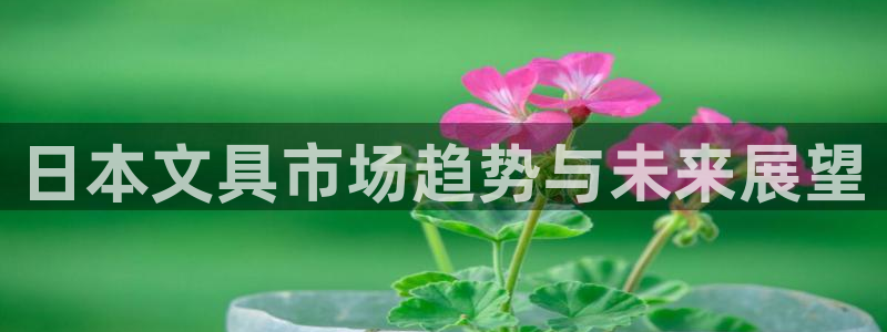 龙八国际客服：日本文具市场趋势与未来展望