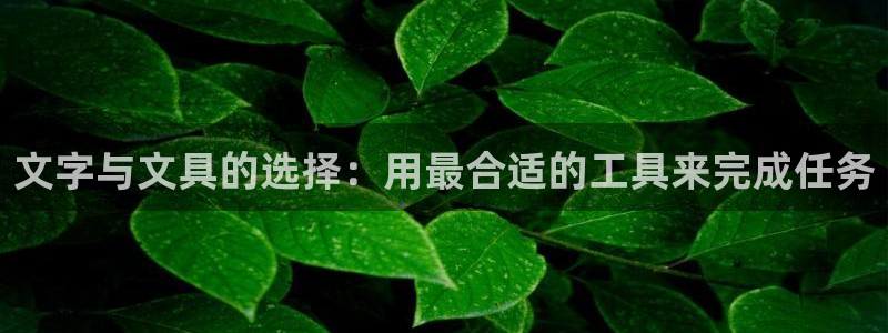 龙八国际客户端下载安装：文字与文具的选择