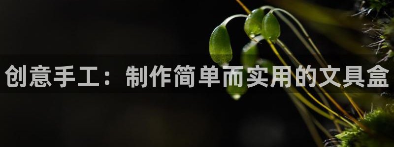 龙八国际服官网入口地址：创意手工：制作简
