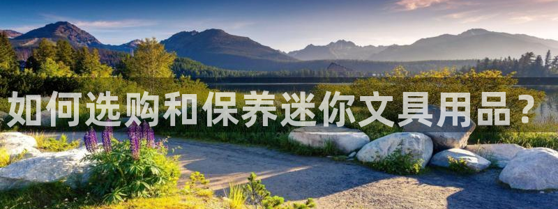 龙八国际手机下载：如何选购和保养迷你文具