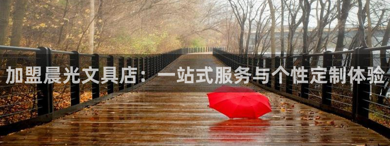 龙八国际版游戏：加盟晨光文具店：一站式服