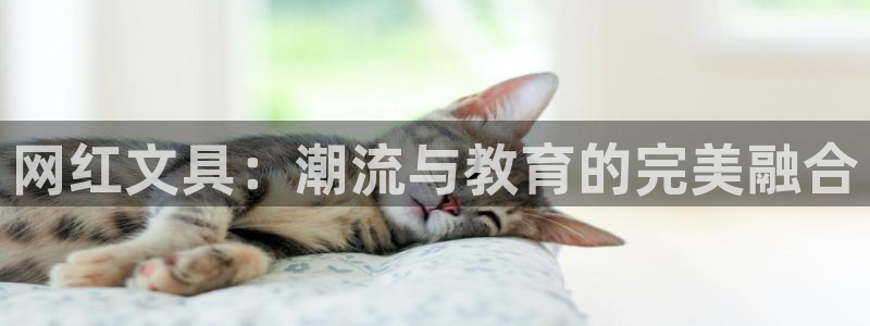 不会玩龙八国际：网红文具：潮流与教育的完