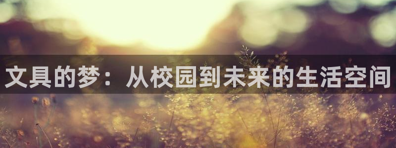 龙八国际客户端下载官网：文具的梦：从校园