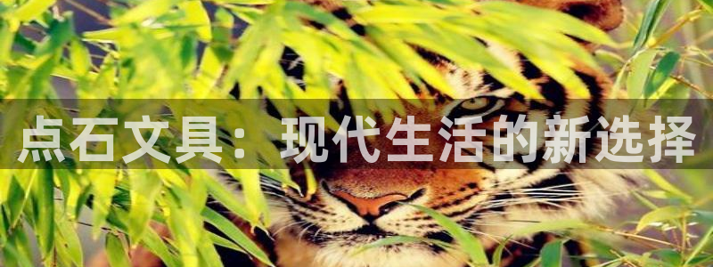 龙八国际88：点石文具：现代生活的新选择