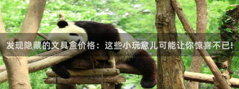龙八国际网站手机版：发现隐藏的文具盒价格