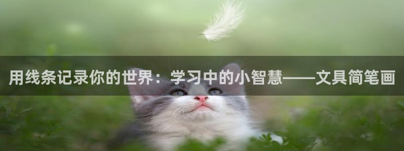 龙八国际合法：用线条记录你的世界：学习中