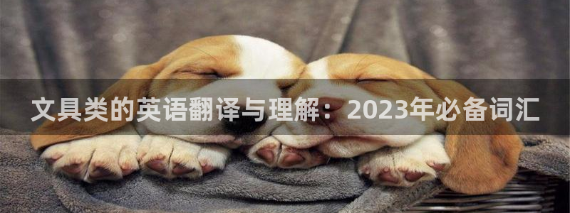 龙八国际平台安卓：文具类的英语翻译与理解