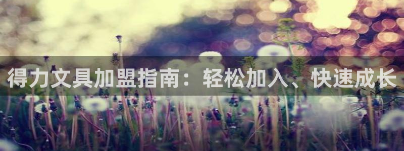 龙八国际官方网站入口：得力文具加盟指南：