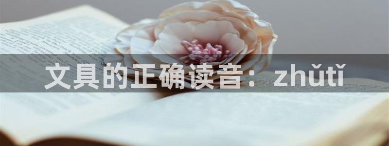 龙八国际是个什么游戏：文具的正确读音：z
