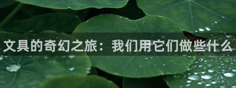 龙八国际菲律宾官网：文具的奇幻之旅：我们