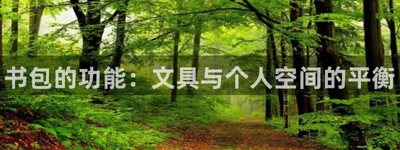 龙八国际娱乐充值：书包的功能：文具与个人