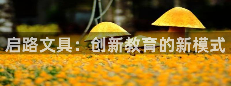 龙八国际app下载：启路文具：创新教育的