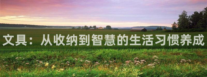 龙八国际官方旗舰店：文具：从收纳到智慧的
