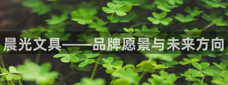 龙八国际电子游戏：晨光文具——品牌愿景与