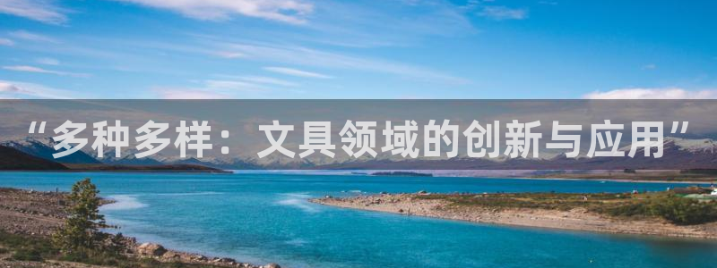 龙八国际平台安卓：“多种多样：文具领域的
