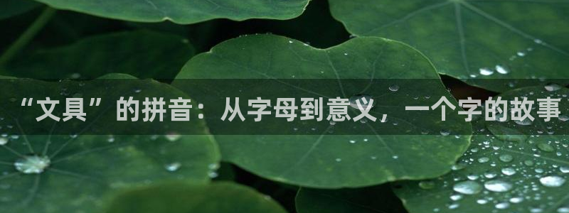 龙八国际老虎机下载：“文具”的拼音：从字