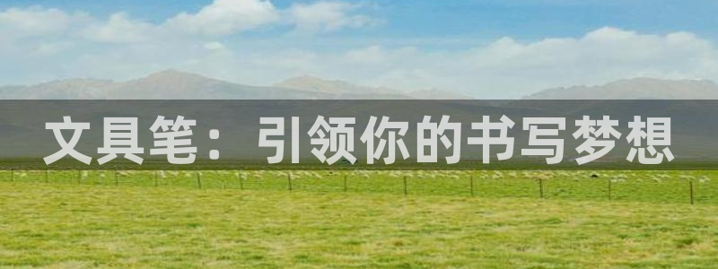 龙八国际手机app：文具笔：引领你的书写