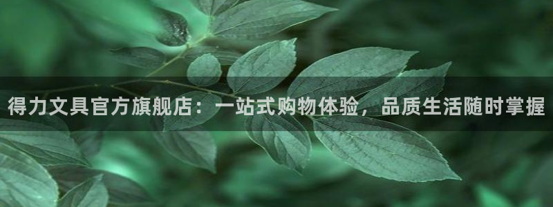 龙八国际代理