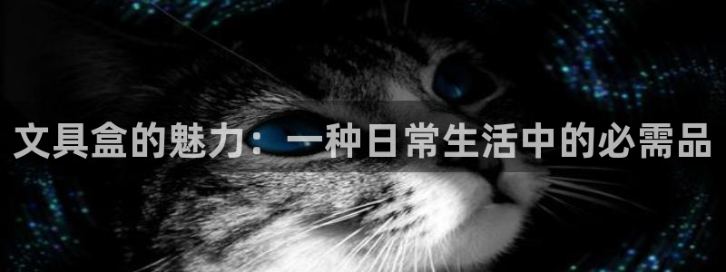 龙八国际官方下载：文具盒的魅力：一种日常