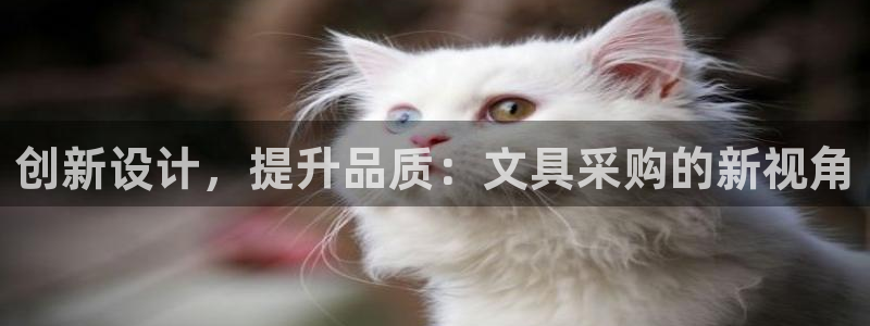 龙八国际登录网：创新设计，提升品质：文具