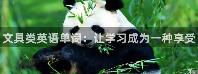 龙八国际安全：文具类英语单词：让学习成为