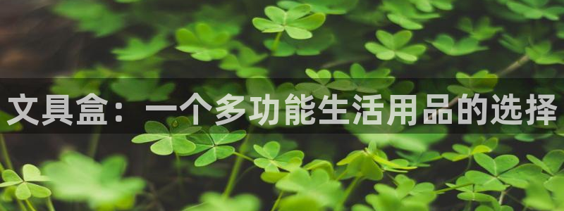 龙八国际服官方：文具盒：一个多功能生活用