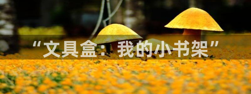 龙八国际 我的：“文具盒：我的小书架”