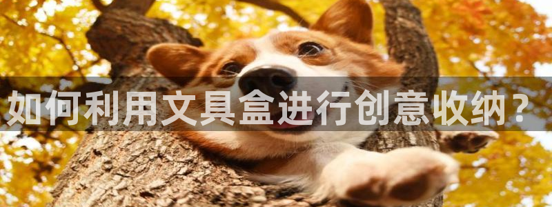 龙八国际app骗局：如何利用文具盒进行创