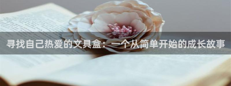 龙八国际娱乐官网多少：寻找自己热爱的文具