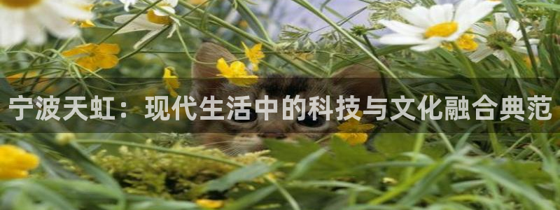 搜索 龙八国际：宁波天虹：现代生活中的科
