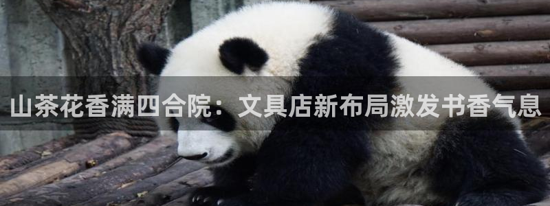龙八国际下载安装彩：山茶花香满四合院：文