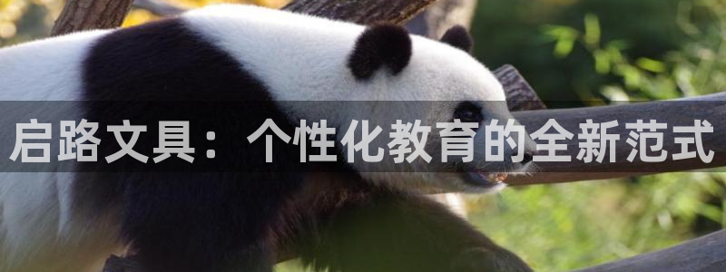 龙八国际图片：启路文具：个性化教育的全新