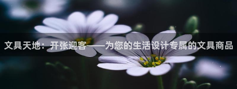 龙八国际是不是黑平台：文具天地：开张迎客