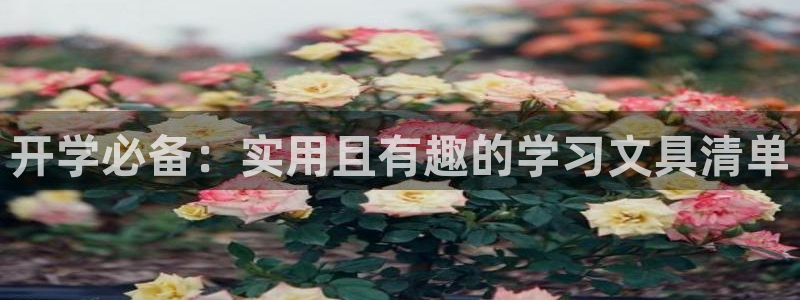 龙八国际头号玩家是谁：开学必备：实用且有