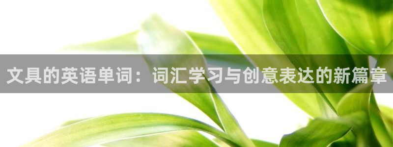 龙八国际股票：文具的英语单词：词汇学习与