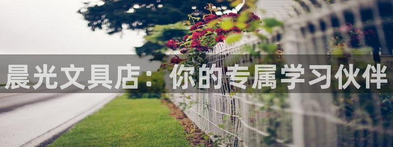 龙八国际娱乐官方网址：晨光文具店：你的专