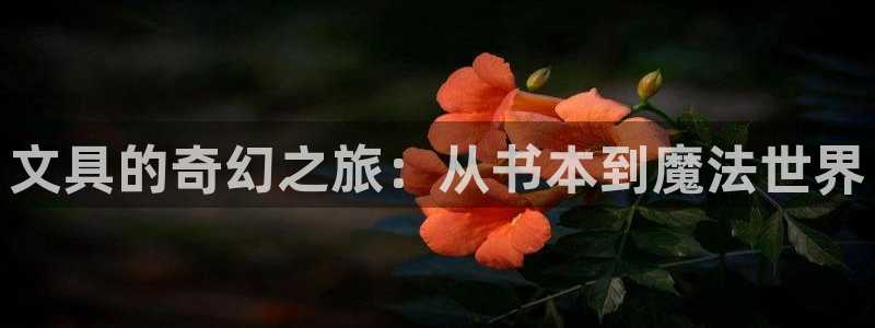 龙八国际可b48点tv：文具的奇幻之旅：