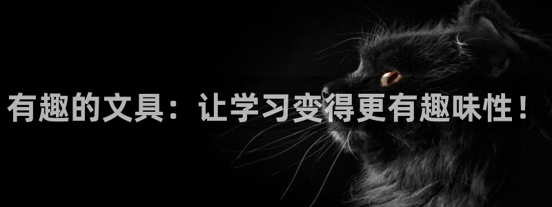 龙八国际兑换码：有趣的文具：让学习变得更