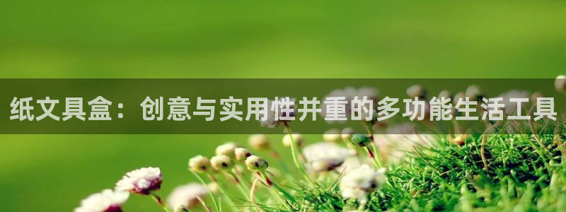 龙八国际国际娱乐官网：纸文具盒：创意与实