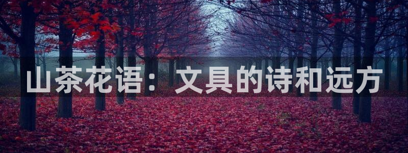 龙八国际提现待审核：山茶花语：文具的诗和