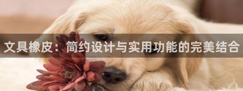 龙八国际pt娱乐：文具橡皮：简约设计与实