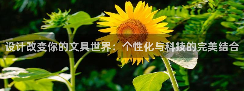 龙八国际娱乐网页多少：设计改变你的文具世