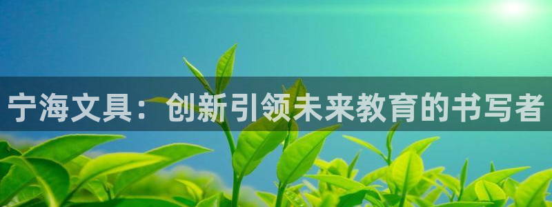 龙八国际娯乐城软件下载：宁海文具：创新引