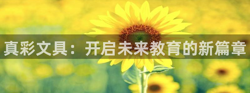下载龙八国际手机版游戏：真彩文具：开启未