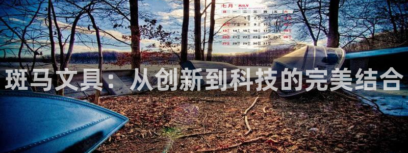 龙八国际手机游戏官网：斑马文具：从创新到