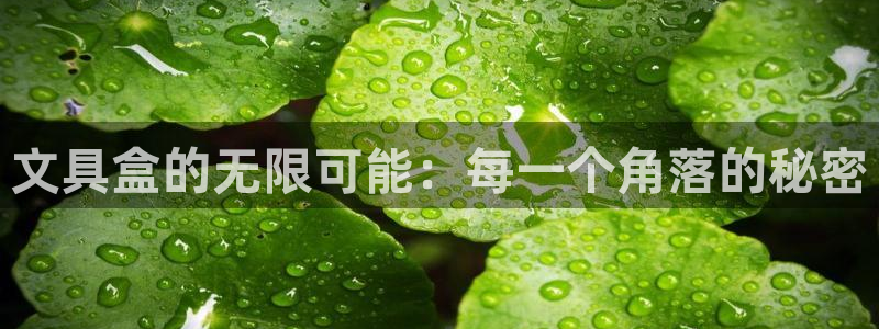 龙八国际客服端登录：文具盒的无限可能：每
