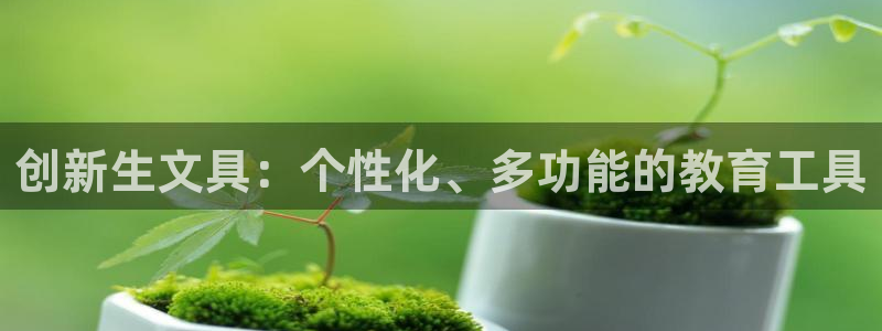 龙八龙八国际：创新生文具：个性化、多功能
