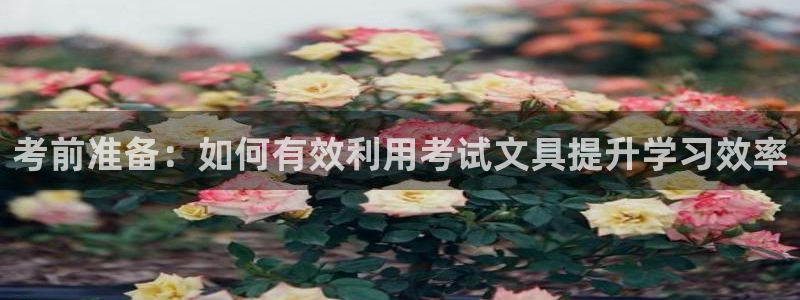 龙八国际官网安卓：考前准备：如何有效利用